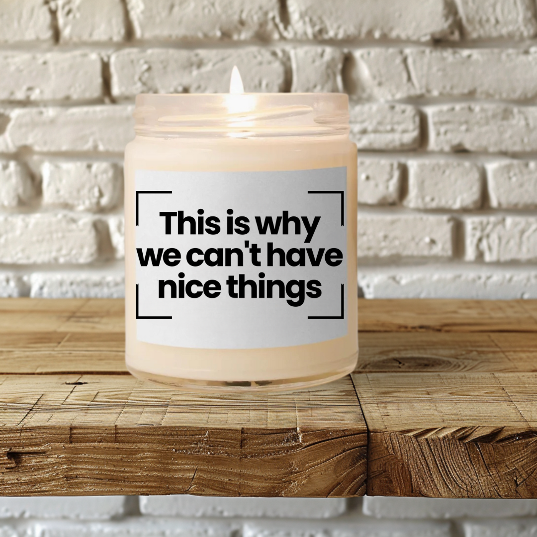 Funny Scented Soy Candle - This is why we can't have nice things- 9oz - Hand Poured - Vegan