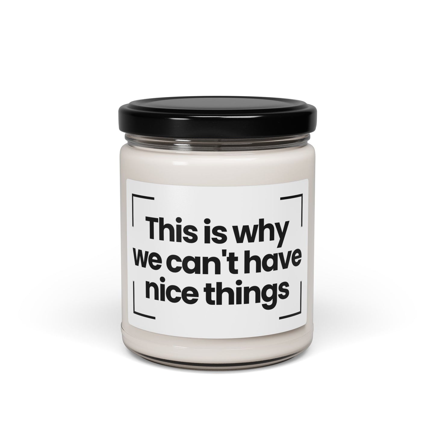 Funny Scented Soy Candle - This is why we can't have nice things- 9oz - Hand Poured - Vegan