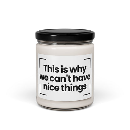 Funny Scented Soy Candle - This is why we can't have nice things- 9oz - Hand Poured - Vegan
