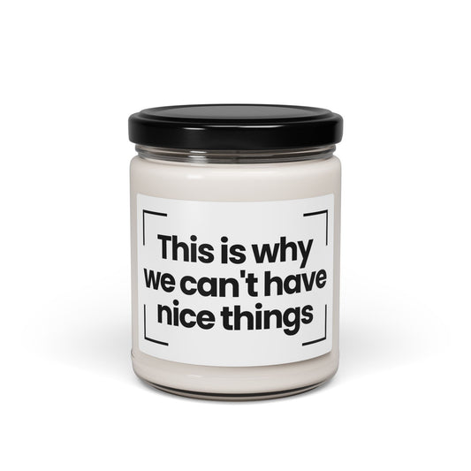 Funny Scented Soy Candle - This is why we can't have nice things- 9oz - Hand Poured - Vegan